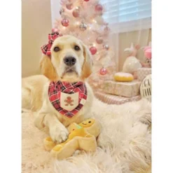 Midlee Christmas Sugar Cookie Plush Dog Toy (Gingerbread Man, Small) -PawHut Store GUEST 001c8579 5a2a 430c bdd2 39bba9b7b4a3