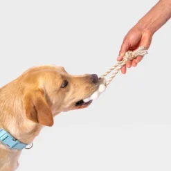 AWOO Felt Wheely Good Time Rope Dog Toy - 2"