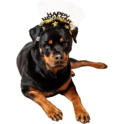 Midlee Happy New Year Dog Headband -PawHut Store GUEST 01a92d65 1d13 48c0 b123 ec98f726d163