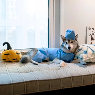 Midlee Scrubs Dog Costume - Large 3 Midlee Scrubs Dog Costume - Large - Image 3