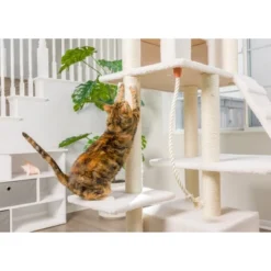 Armarkat B8201 Classic Real Wood Cat Tree In Ivory, Jackson Galaxy Approved, Multi Levels With Ramp, Three Perches, Rope Swing, Two Condos -PawHut Store GUEST 03bcb37b 06f6 450d a0a0 44b407032ee7