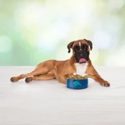 Blue Buffalo Freedom Grain Free With Lamb, Potatoes & Peas Adult Dry Dog Food -PawHut Store GUEST 03eba8d5 0e04 4e6a b8fd 71cbbcc33350