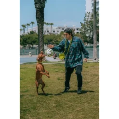 QALO TraQ Powered By Tile Dog And Cat Silicone Bluetooth Trackable Pet ID Tag - Green -PawHut Store GUEST 052987d2 1d2f 47c6 b649 75ba5684fcc4