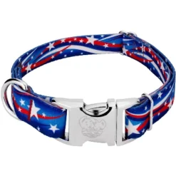 Country Brook Petz Premium Star Spangled Dog Collar -PawHut Store GUEST 052ee892 33a8 4b6d 854f 94cea724e1ba