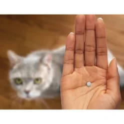 CapAction Flea Treatment For Cats - 2-25lbs -PawHut Store GUEST 05dfbe0e ef42 4d18 8933 4fb991838d73