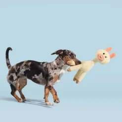 BARK Big Al Paca Dog Toy 9 BARK Big Al Paca Dog Toy -PawHut Store GUEST 072dd390 b73b 4cef 820b 14393851971c