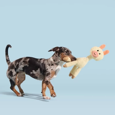 BARK Big Al Paca Dog Toy 3 BARK Big Al Paca Dog Toy - Image 3