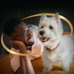 Cesar Poultry Lovers With Chicken, Turkey And Duck Flavor Adult Wet Dog Food - 7.93lb/36ct Variety Pack -PawHut Store GUEST 07fbb705 4f96 4a9e 81bb 6dad0220c63c 1