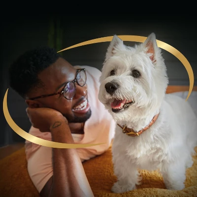 Cesar Classic Loaf In Sauce Grilled Chicken, Filet Mignon, Porterhouse Steak, Beef, Chicken & Liver And Turkey Adult Wet Dog Food - 3.5oz/36ct 8 Cesar Classic Loaf In Sauce Grilled Chicken, Filet Mignon, Porterhouse Steak, Beef, Chicken & Liver And Turkey Adult Wet Dog Food - 3.5oz/36ct - Image 8