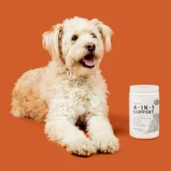 Chew + Heal 4-in-1 Support Multivitamin, Dog Vitamin, Contains Probiotics & Numerous Vitamins - 240 Delicious Chews -PawHut Store GUEST 0828c7e0 5880 4888 b482 f13dc375a139 1