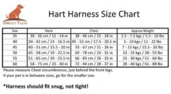 Doggy Tales Patented Hart Harness - Navy