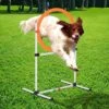 PawHut 2-in-1 Dog Obstacle Training Agility Equipment Tire Jump Ring/Hurdle Bar
