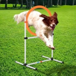 PawHut 2-in-1 Dog Obstacle Training Agility Equipment Tire Jump Ring/Hurdle Bar