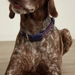 Vera Bradley Women's Pet Collar, Large -PawHut Store GUEST 0a6d42ea c2c8 4826 b0b0 821e917abdb3