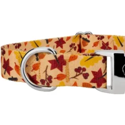 Country Brook Petz Premium Fall Foliage Dog Collar And Leash -PawHut Store GUEST 0a71d941 a72d 4b7a 8678 7d5db76d1f87