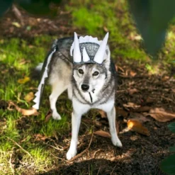 Midlee Dinosaur Dog Headband & Tail Costume -PawHut Store GUEST 0aa6c1b9 6d48 4b13 a0cd 95792a724ab4