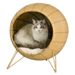 PawHut 20.5" Rattan Cat Bed, Wicker Elevated Round Condo For Comfort And Circulation With Cushion -PawHut Store GUEST 0b2dec9b 5dca 4dab 9b69 9ce00ccb9a03