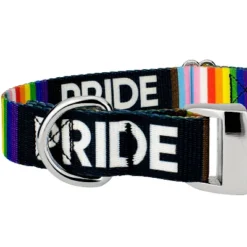Country Brook Petz Premium Pride Dog Collar -PawHut Store GUEST 0c026257 4357 4a90 9ccd 9cf3c720d86c
