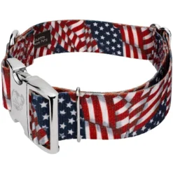Country Brook Petz 1 1/2 Inch Premium Patriotic Tribute Dog Collar -PawHut Store GUEST 0c02f4f8 69b6 4412 b2c0 494ab6b04416
