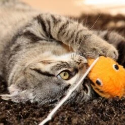 Pet Adobe Cat Activity Center - Interactive Play Area With Hanging Toys For Cats And Kittens -PawHut Store GUEST 0cfd719f 7c14 46a7 a163 76319d90f406