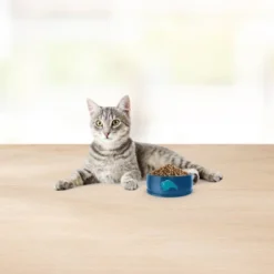 Blue Buffalo Basics Skin & Stomach Care Grain Free Natural Indoor With Fish & Potato Adult Dry Cat Food - 11lbs 12 Blue Buffalo Basics Skin & Stomach Care Grain Free Natural Indoor With Fish & Potato Adult Dry Cat Food - 11lbs -PawHut Store GUEST 0d503303 8d54 427c a795 8d50539188b4