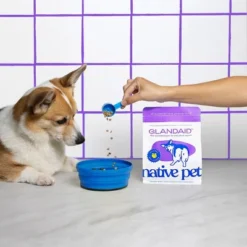 Native Pet Glandaid Anal Gland Supplement With Pumpkin For Dogs - 16oz -PawHut Store GUEST 0e34d736 9a57 430d 8d31 52b8d57c3fa2