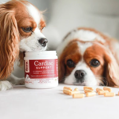 Fera Pet Organics Cardiac Heart Support Powder For Dogs And Cats - Fish Flavor 3 Fera Pet Organics Cardiac Heart Support Powder For Dogs And Cats - Fish Flavor - Image 3