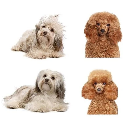 Link Worldwide Self Cleaning Dog And Cat Slicker Brush - Perfect For Grooming Tangled And Loose Hair 3 Link Worldwide Self Cleaning Dog And Cat Slicker Brush - Perfect For Grooming Tangled And Loose Hair - Image 3