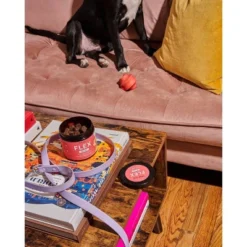 Wild One FLEX Hip & Joint Wellness Supplement Soft Chews For Dogs - 120ct 11 Wild One FLEX Hip & Joint Wellness Supplement Soft Chews For Dogs - 120ct -PawHut Store GUEST 1411aab5 2644 45cd 9f8a 4446c407e261