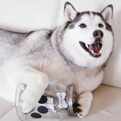 Amici Pet Buddy Paw Chalkboard Medium Glass Treats Storage Canister, 108 Oz. , Clear W/ Black Paw & Silver Lid -PawHut Store GUEST 14dd7c61 45c3 4c65 8f8e 76cd47c0421e