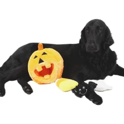 Midlee Pumpkin Find A Toy Halloween Dog Toy -PawHut Store GUEST 1558c81c 2599 4aea af06 bc1eae3110c8