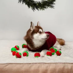 Midlee 1.5" Mini Squeaker Christmas Dog Tennis Balls - Red/Green Pack Of 12 -PawHut Store GUEST 157d9b08 86c3 46f3 9a80 887aa4f29b30