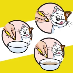 Temptations Creamy Puree With Salmon Lickable Squeezable Adult Cat Treats -PawHut Store GUEST 158b0e36 d477 4652 96aa 95bc0511fba7