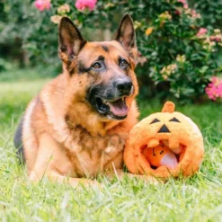 Midlee Pumpkin Find A Toy Halloween Dog Toy -PawHut Store GUEST 1666c1b0 55b0 428c 8b32 89e9b9cc1483