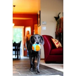 Chuckit! Indoor Ball Dog Toy -PawHut Store GUEST 167616ce 2010 4d3a a4c7 b29e82e091f8
