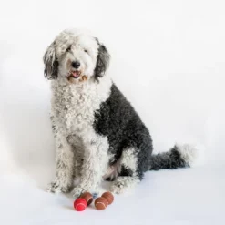Midlee Red Nose Christmas Dog Tennis Balls (Standard) -PawHut Store GUEST 1743e40d 7e2d 4755 9558 c05351d94e41