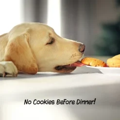 Pet Adobe Foldable Wooden Pet Gate – Dark Brown 7 Pet Adobe Foldable Wooden Pet Gate – Dark Brown -PawHut Store GUEST 18373d69 ce08 4b37 9c1e 5e4ff2fa47a1