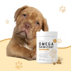 Chew + Heal Omega Skin + Coat, Dog Supplement, Salmon Oil With Essential Fatty Acids & Vitamins - 360 Delicious Chews 11 Chew + Heal Omega Skin + Coat, Dog Supplement, Salmon Oil With Essential Fatty Acids & Vitamins - 360 Delicious Chews -PawHut Store GUEST 1928b5b9 9c23 4739 8a81 0b4806a63e27 1