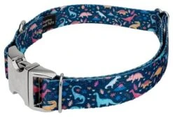 Country Brook Petz Premium Dinosaurs Dog Collar -PawHut Store GUEST 1a4c3292 4d4f 4db6 8ac2 8e5537dd4b33