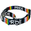 Country Brook Petz Pride Martingale Dog Collar