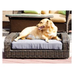 Iconic Pet Beds For Dogs And Cats - Rattan Sofa - Brown -PawHut Store GUEST 1afbe3c9 aee7 4a84 8eb6 66f3f9315978