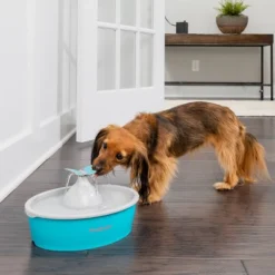 PetSafe Butterfly Fountain - White -PawHut Store GUEST 1b277d0e dec9 4c33 bbb5 86566564344e