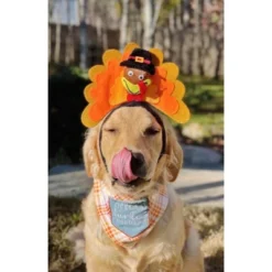 Midlee Turkey Dog Headband -PawHut Store GUEST 1bb656e4 bd84 4a36 b57b 415d0ca16709