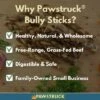 Pawstruck 7" Braided Bully Sticks For Dogs - Natural Bulk Dog Dental Treats & Healthy Chews, Chemical Free, 7 Inch Best Low Odor Pizzle Stix