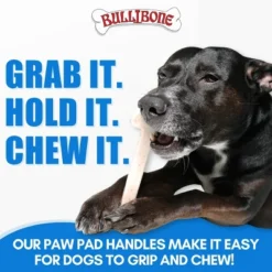 Bullibone Chew Toy For Small Dogs 11 Bullibone Chew Toy For Small Dogs -PawHut Store GUEST 1be2b243 ad78 4cc6 8354 1b8833076401