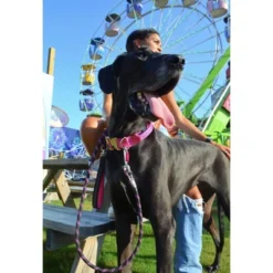 Black Rhino Dog Leash 5ft Ultra-Soft Neoprene Handle & Reflective Carabiner - Aqua -PawHut Store GUEST 1c6ce89e a2cd 4058 b263 1a93fafcf560