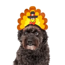 Midlee Turkey Dog Headband -PawHut Store GUEST 1d197bfd 2762 4831 84ce 3ebadfb41972