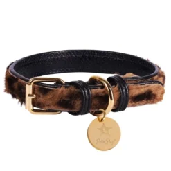 PoisePup – Luxury Pet Dog Collar – Soft Premium Italian Leather Padded Adjustable Collar For Small, Medium And Large Dogs - Wildest One -PawHut Store GUEST 1d3dee91 6d78 4be5 bd7c d123dc6c8a81