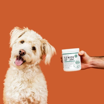 Chew + Heal Senior Hip And Joint Support, Dog Supplement, Aids Mobility, Joint & Cartilage Health - 120 Delicious Chews 5 Chew + Heal Senior Hip And Joint Support, Dog Supplement, Aids Mobility, Joint & Cartilage Health - 120 Delicious Chews - Image 5