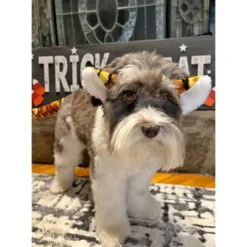 Midlee Tiger Dog Costume Headband & Tail- Large -PawHut Store GUEST 1d7cbc85 26d4 4625 8660 92a9f9bde6ce